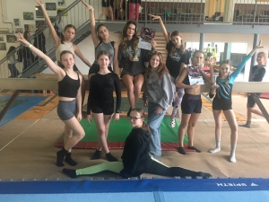 Okresní přebor  ve sportovní gymnastice